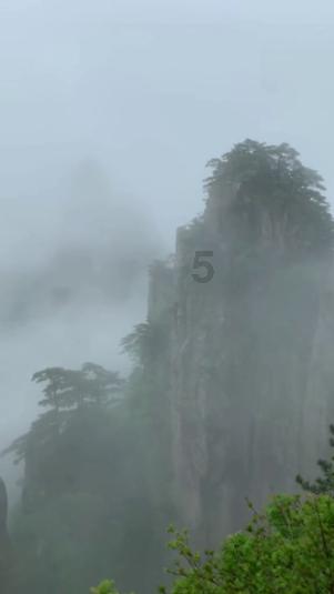光明记忆