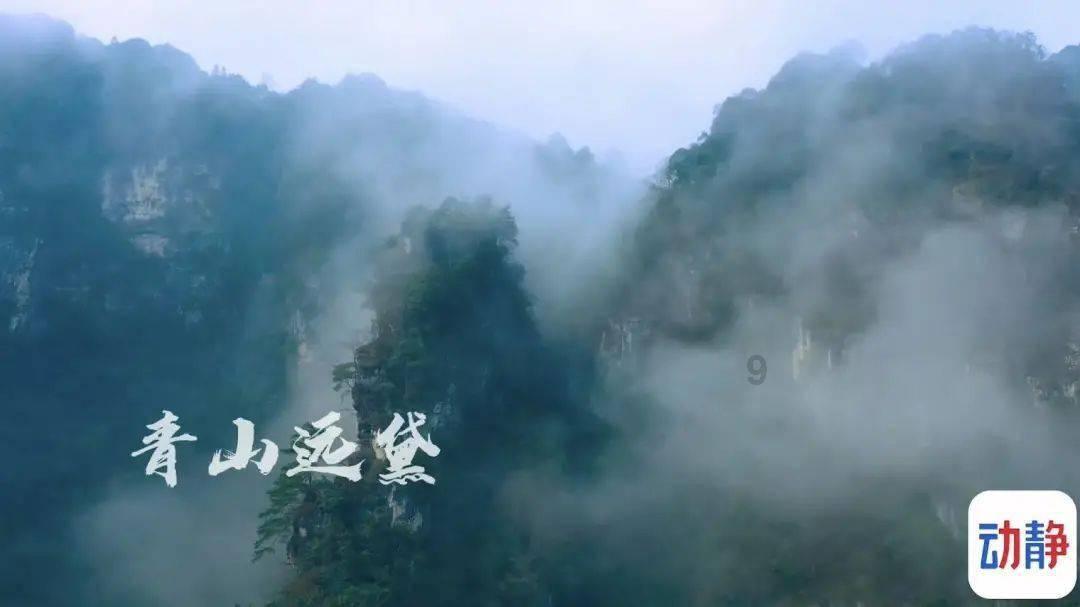 大妈吃自助餐疯狂“抢食”惹众怒，老板撵人反被叫嚣：交过钱了！